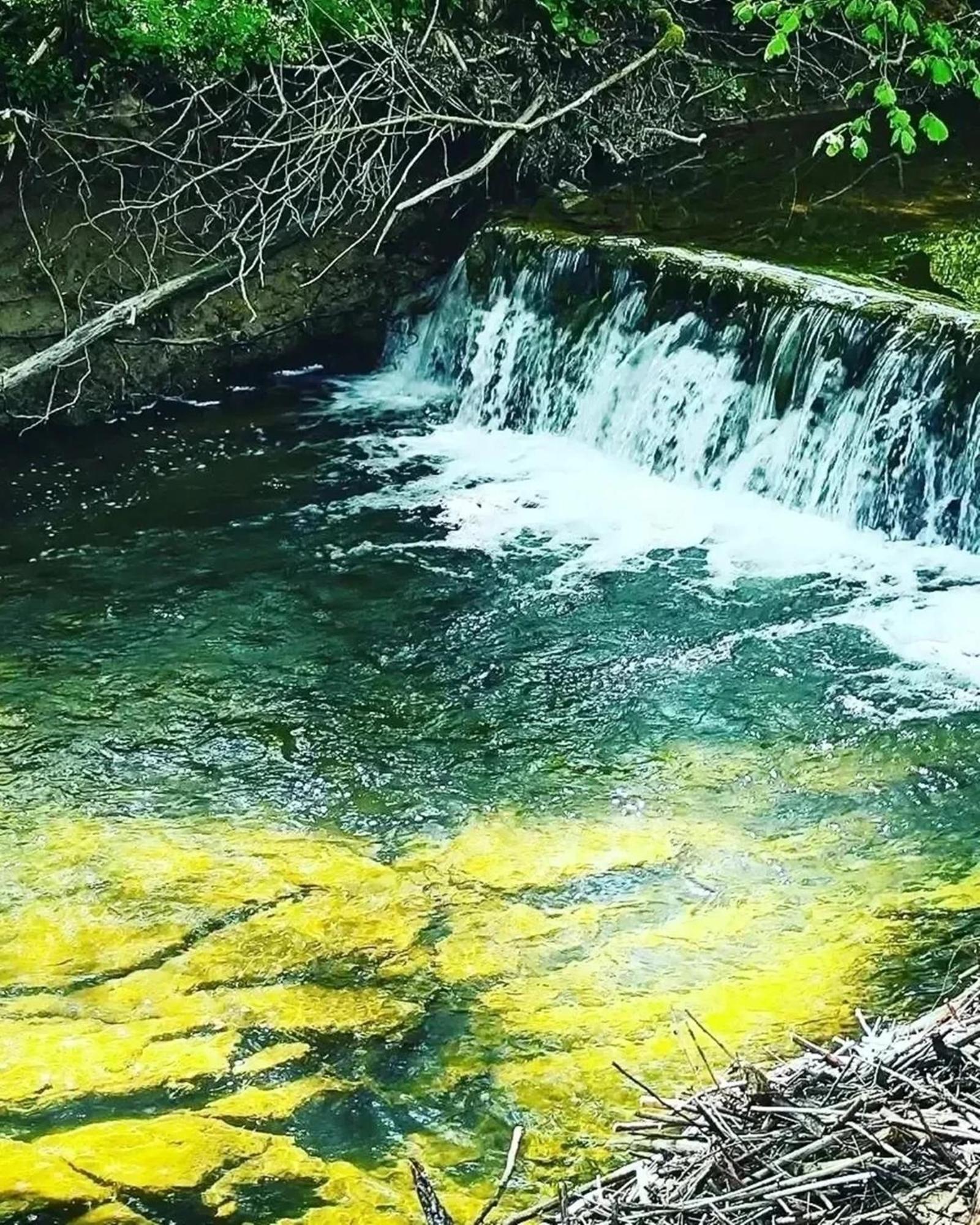 Kraljevsko Selo Kotromanicevo Добой Номер фото
